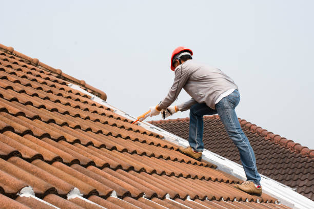 Best Roof Coating Services  in Ninnekah, OK